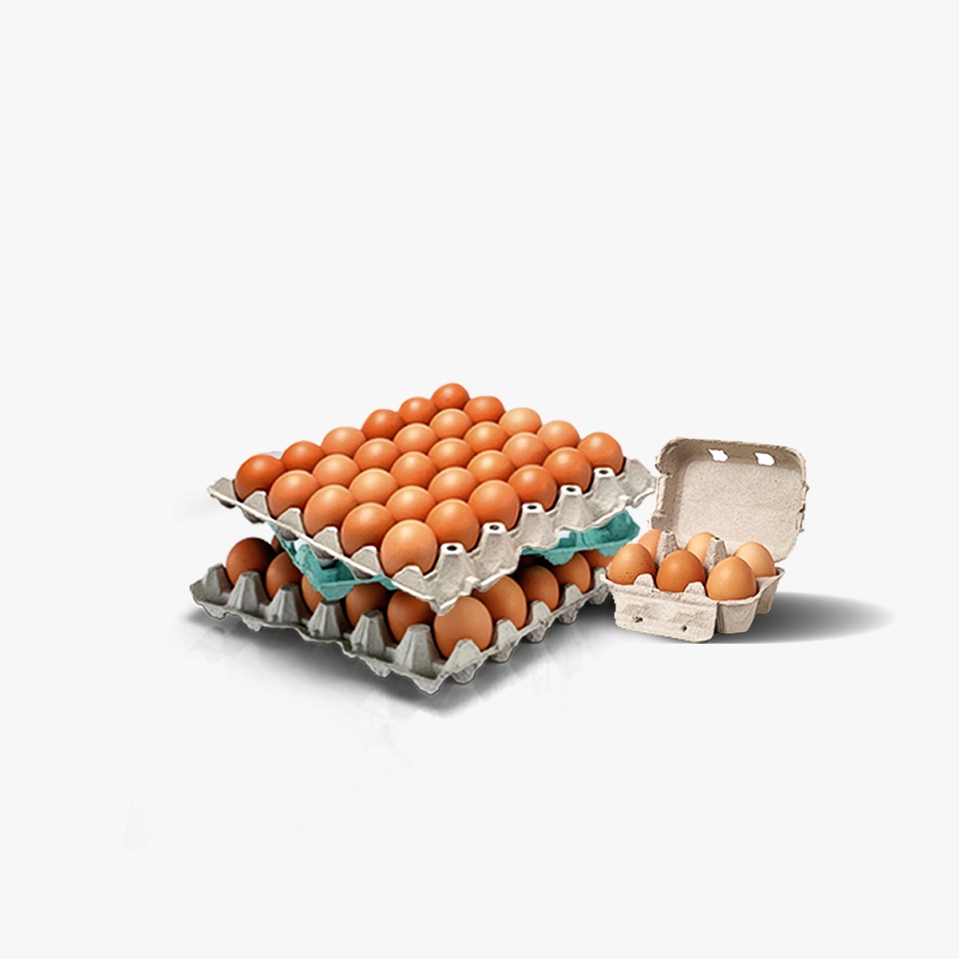 Eggs