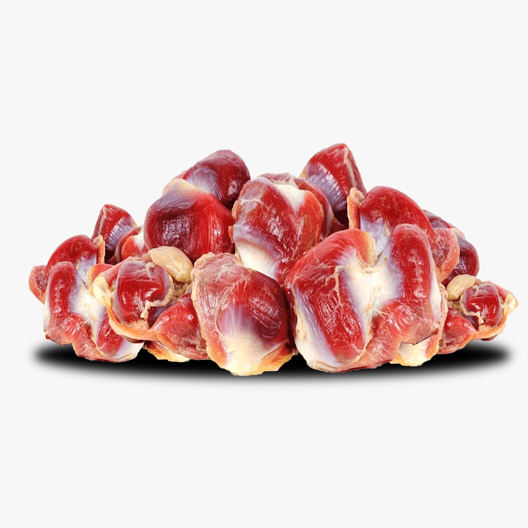 Gizzard
